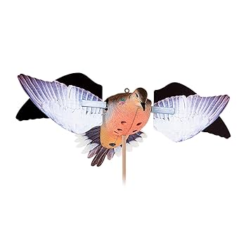 Avian-X POWERFLIGHT Spinning Wing Dove, Decoys - Amazon Canada