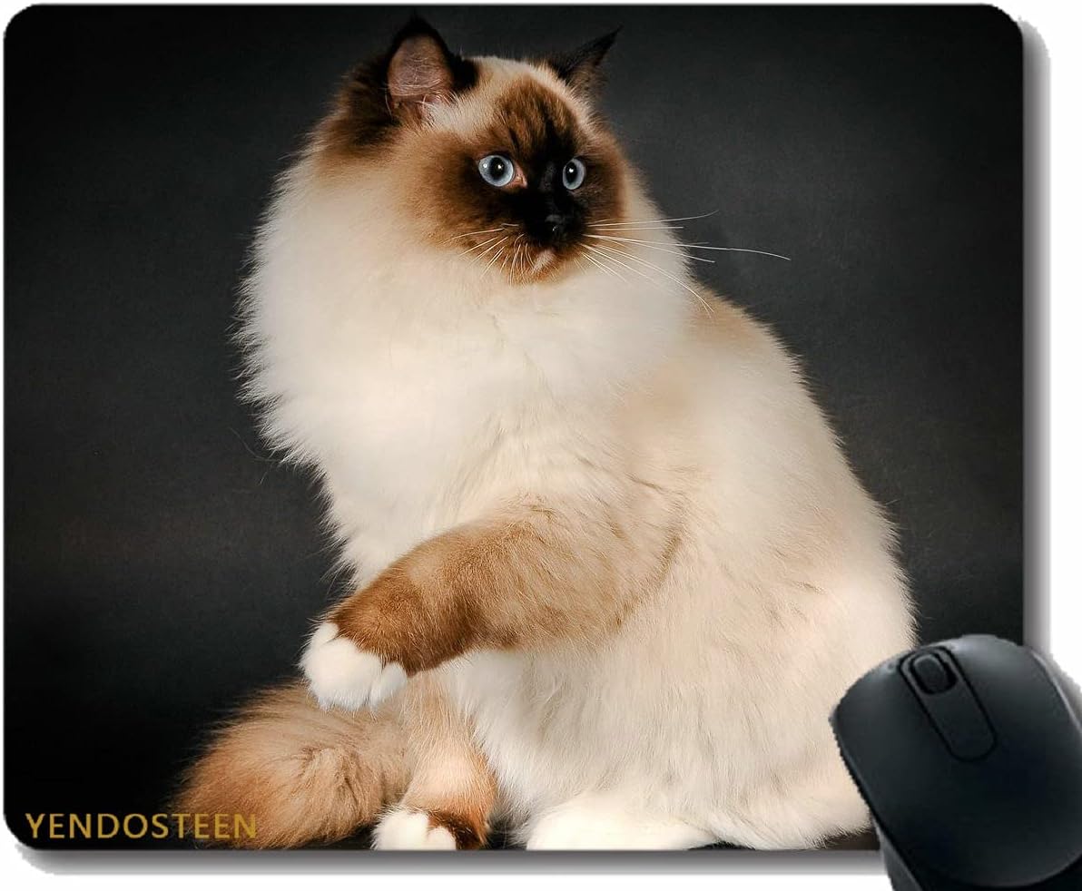 YENDOSTEEN Mouse Pad Funny Customized,Ragdoll Cat Breed Color Fluffy 96074 Non-Slip Rubber Base Mousepad