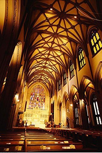 Miniatura 6 de BAOMING Bombilla LED Par56 regulable de 28 W, blanco cálido suave (2700  3000 K) base GX16D de 120 V, luz de inundación ancha de 120, luz halógena