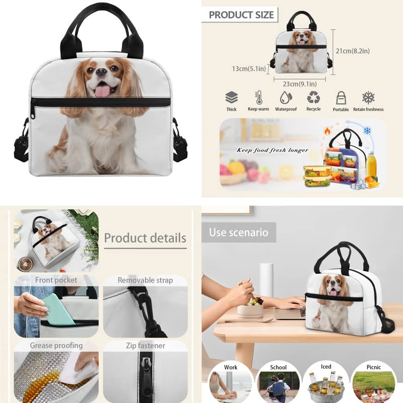 Cute Cavalier King Charles Spaniel School Backpack Kids Bookbag Set Puppy Dog Lunch Bag & Pencil Case Elementary Preschool Kindergarten Supplies Boys Girls3