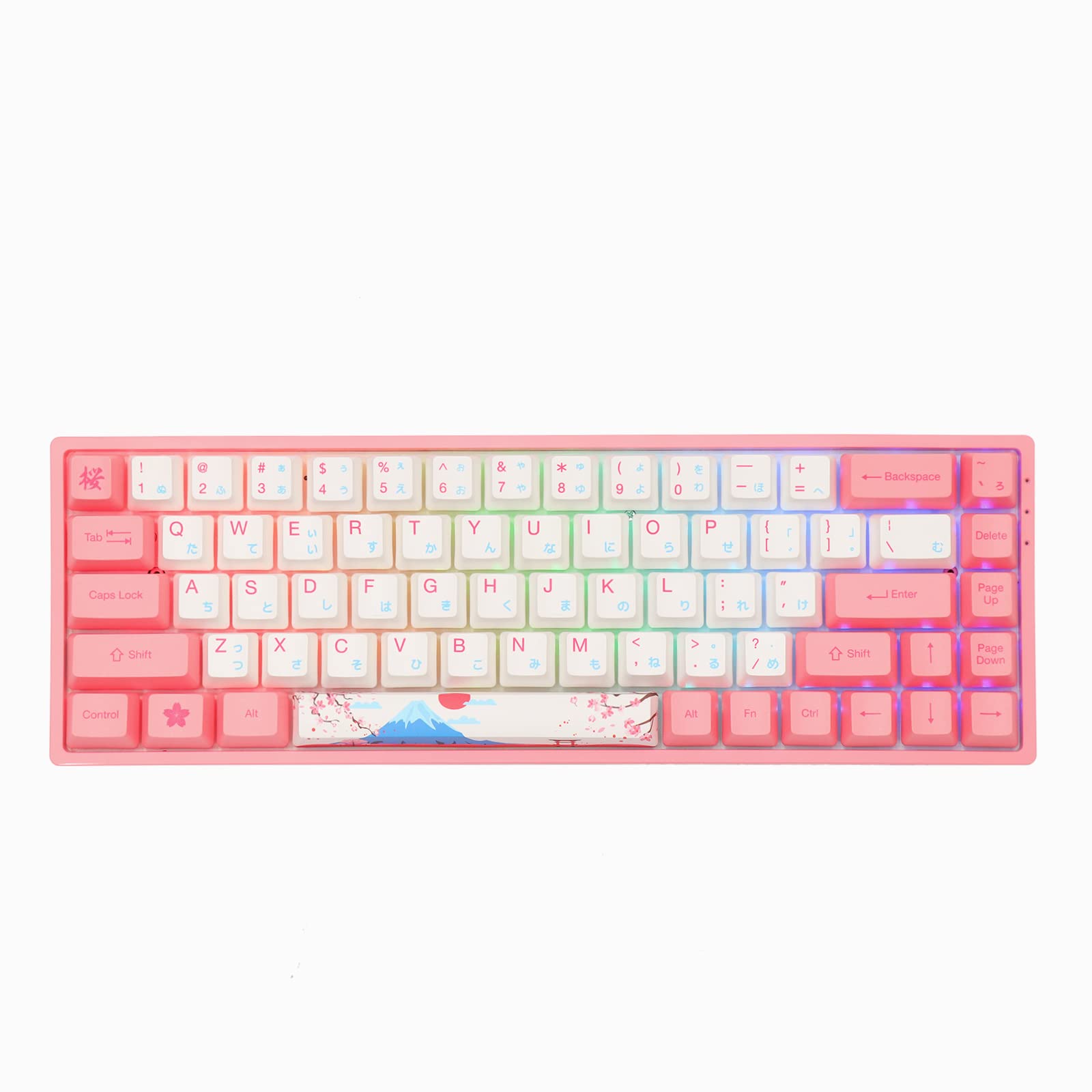 EPOMAKER AKKO 3068B World Tour R2 65% Hot-Swap 2.4Ghz Wireless/Bluetooth/Wired Mechanical Keyboard w