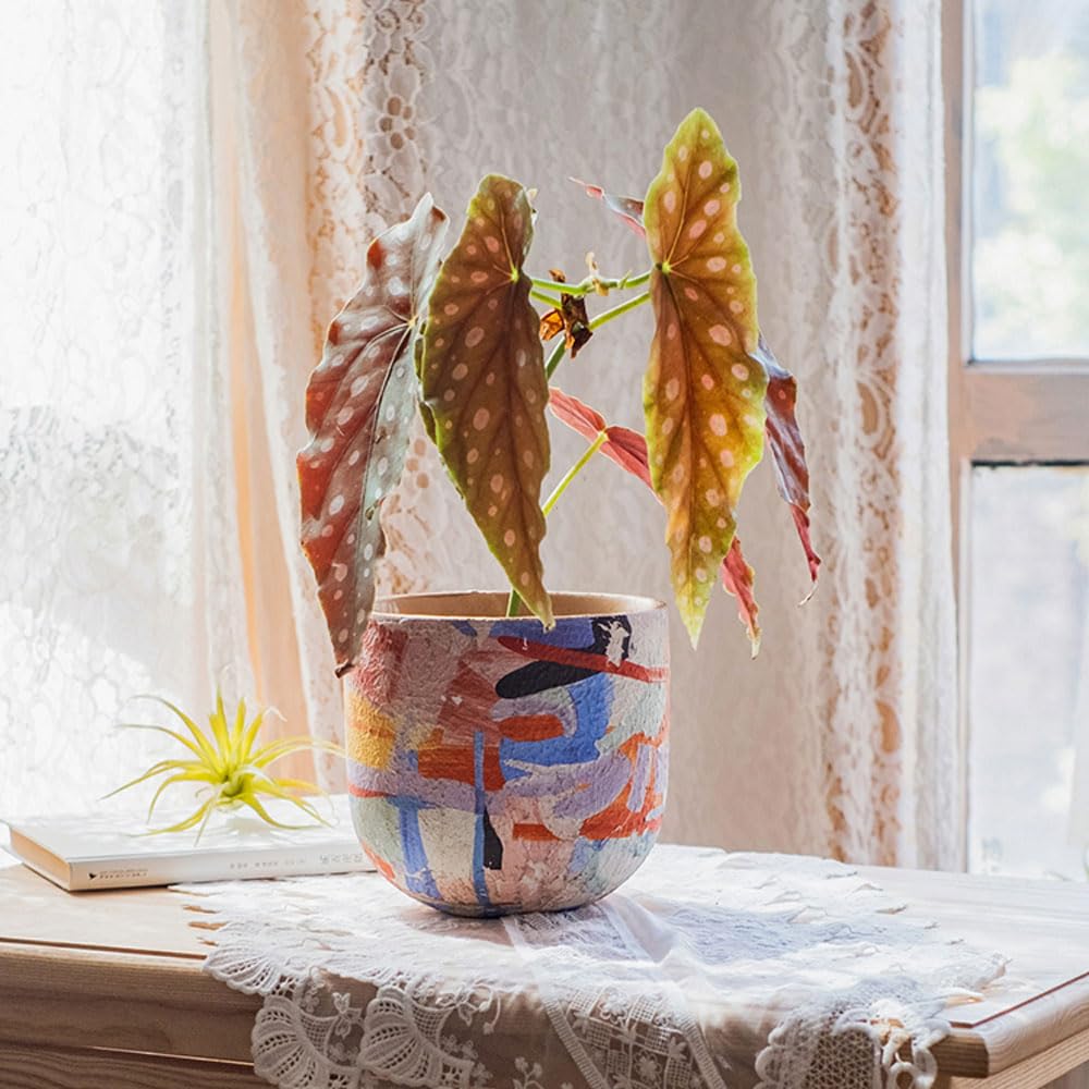 Dekoracje Do Doniczek Z Roślinami Hydroponicznymi, Ceramiczna Doniczka, Ceramiczna Doniczka Narcyzowa, Miska Do Sadzenia Żonkili, Amerykańska Doniczka Botaniczna, Ceramic
