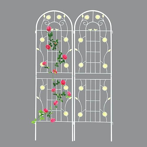 Paquete de 2 enrejados de jardín de metal de 71 x 19.7 pulgadas, romántica francesa, a prueba de óxido, soporte de flores vegetales, enrejado de