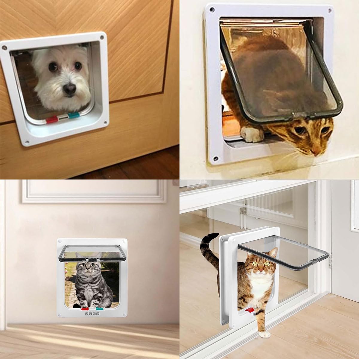 Porta per Gatti e Cani, Gattaiola Con Entrata e Uscita Controllabile 4 Vie, Porticina per Animali Domestici (M)