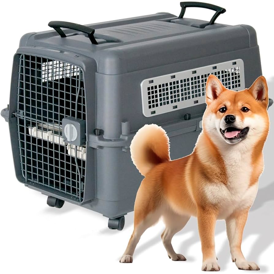 プチリュバン　IATA基準クリア Amazon | プチリュバン 【 IATA 基準クリア】デラックス