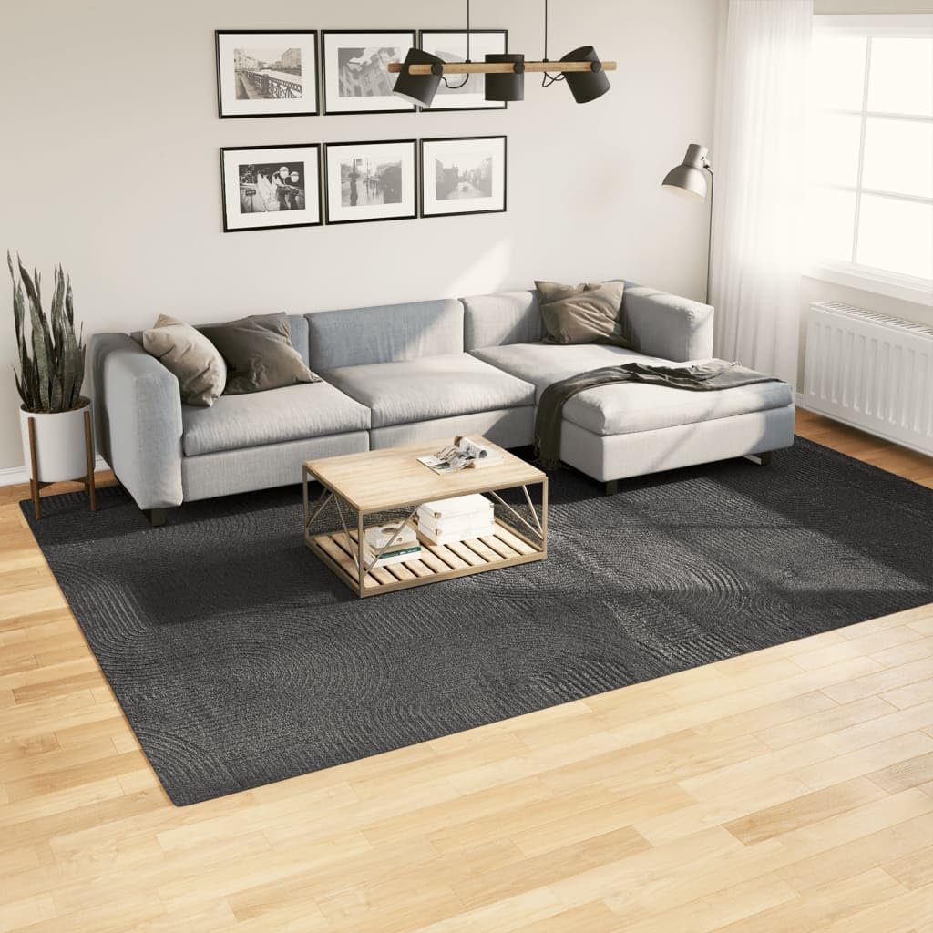 Tapis IZA Poils Courts Style scandinave Anthracite 240 x 340 cm, Polyester 100 pour Cent, Poil 8 mm, Confort pour Salon Chambre Couloir entrée