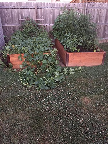 Rmp Garden Bed Corner Bracket - Set Of Four - 20-24 Inch Bed #TOP5