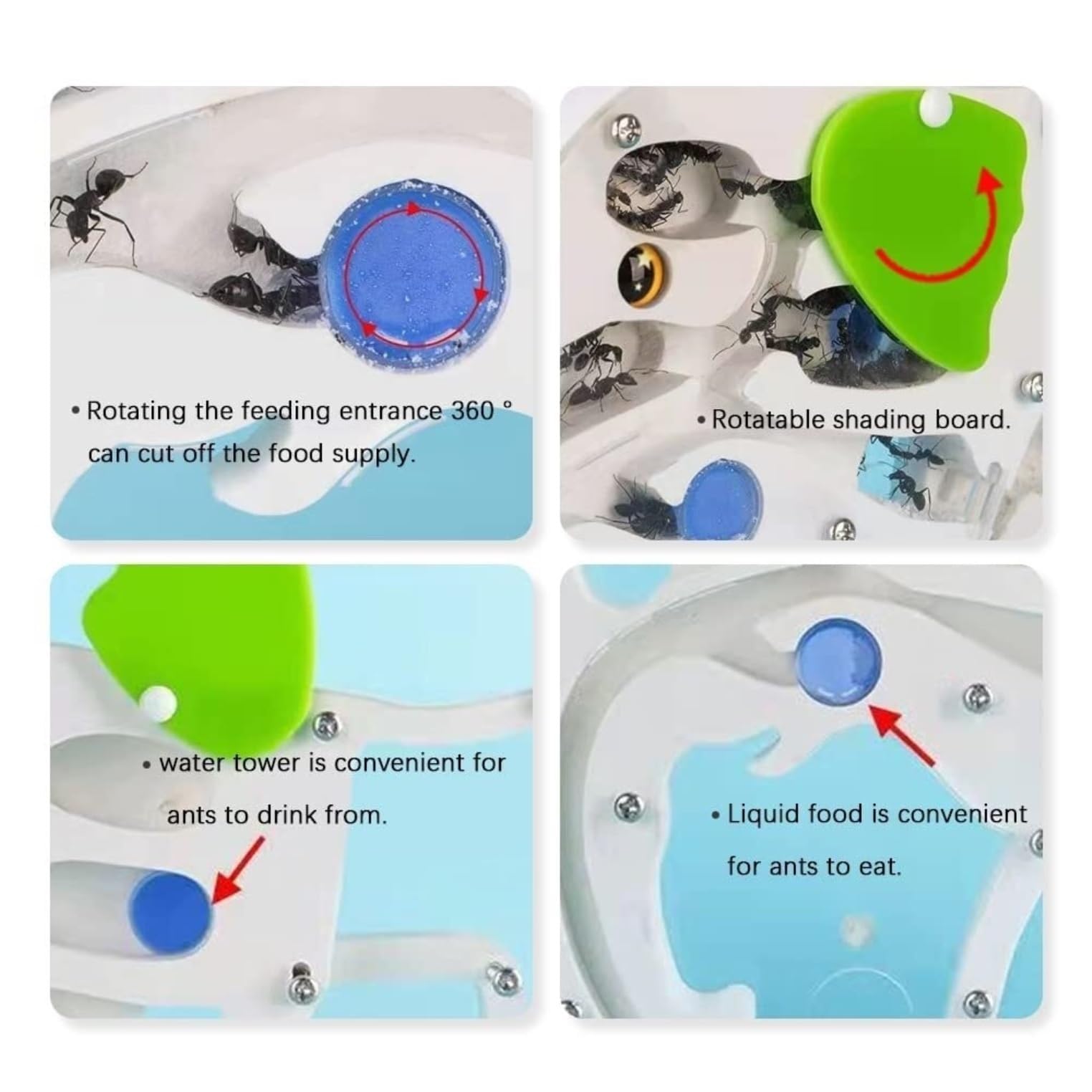 Nido del castello della fattoria delle formiche – Kit di osservazione dell'habitat e della scienza for l'osservazione delle colonie, perfetto for gli appassionati di formiche Casetta per formiche