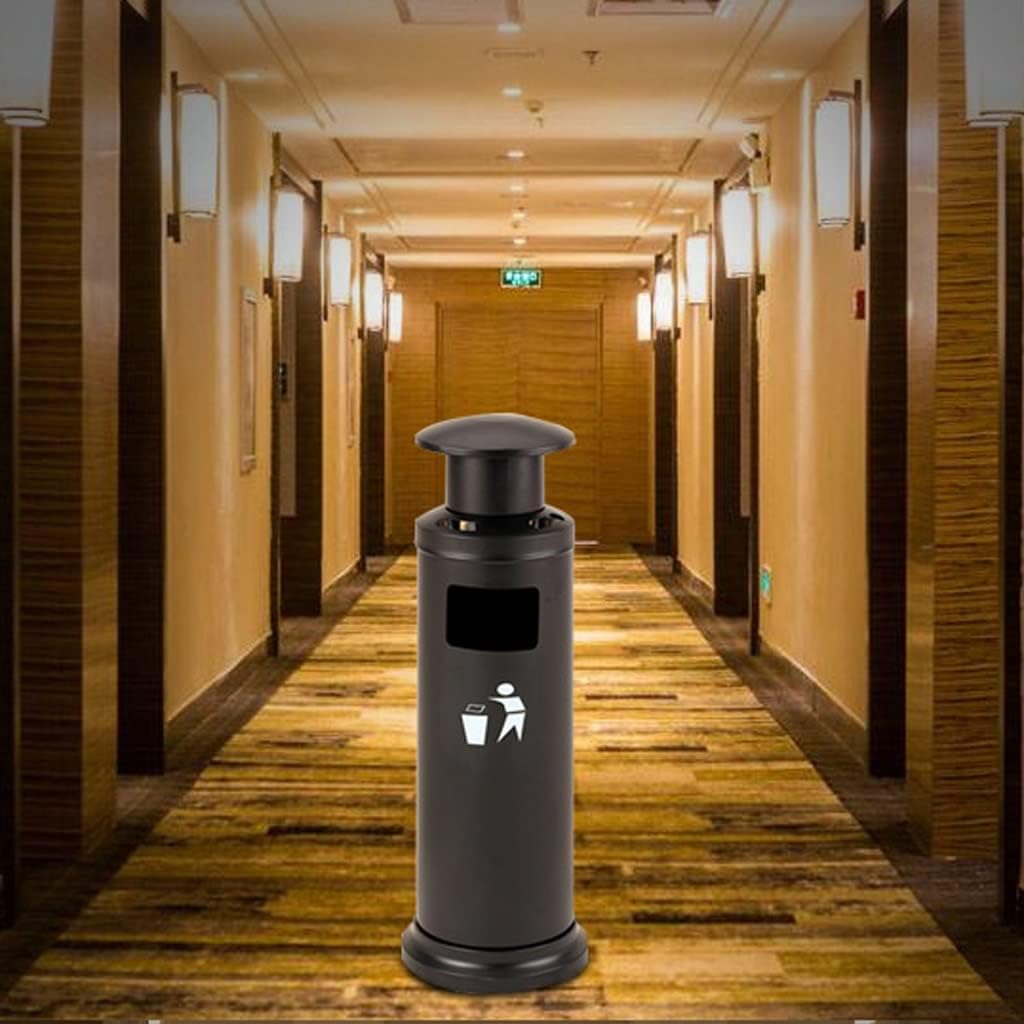 2 山採り コハウチワカエデ ミヤマガマズミ 混合株