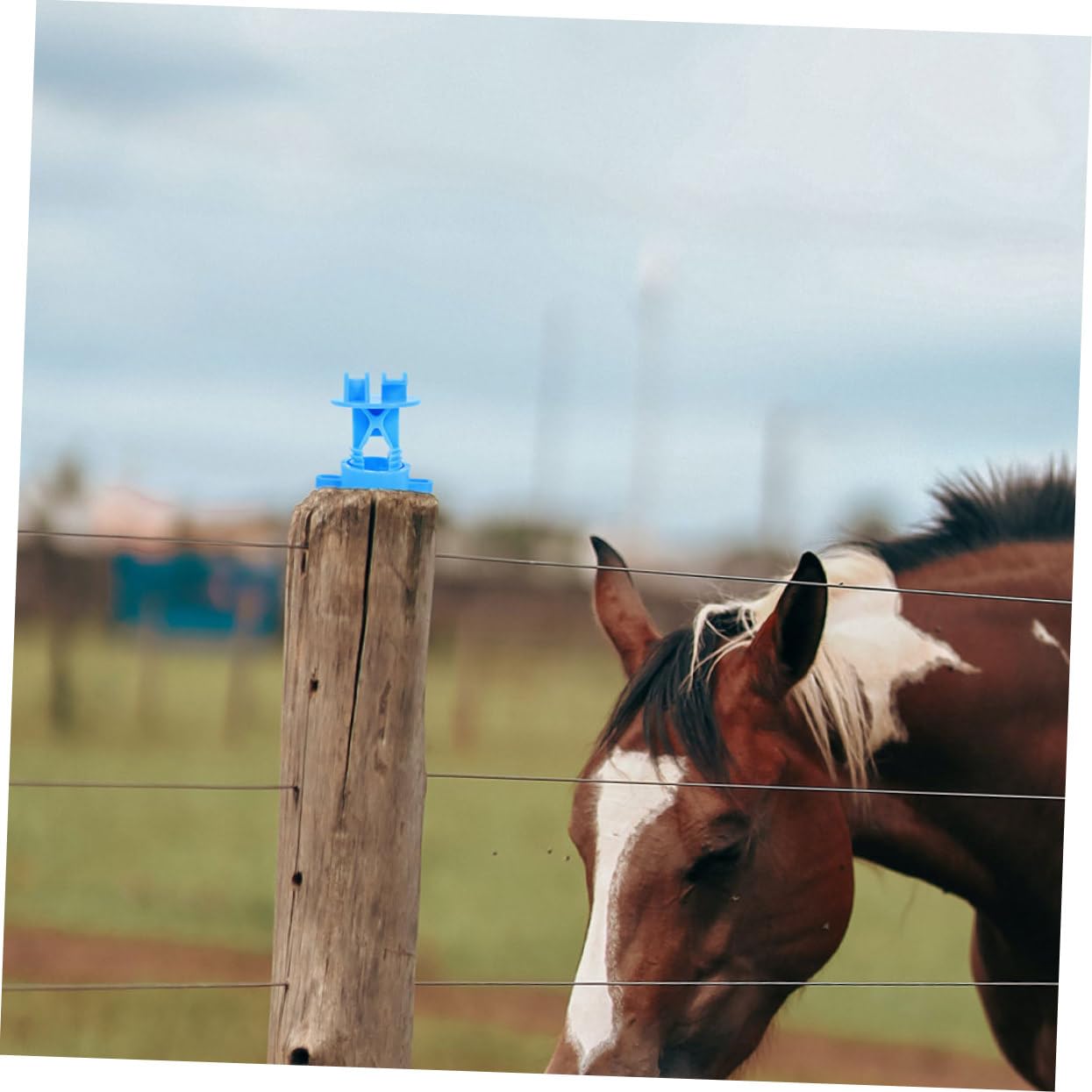 BESPORTBLE 3 Set di Isolatori per Recinti Elettronici Isolatori in Plastica di Ricambio per Accessori per Isolatori per Cavi Agricoli 20 Pezzi*3