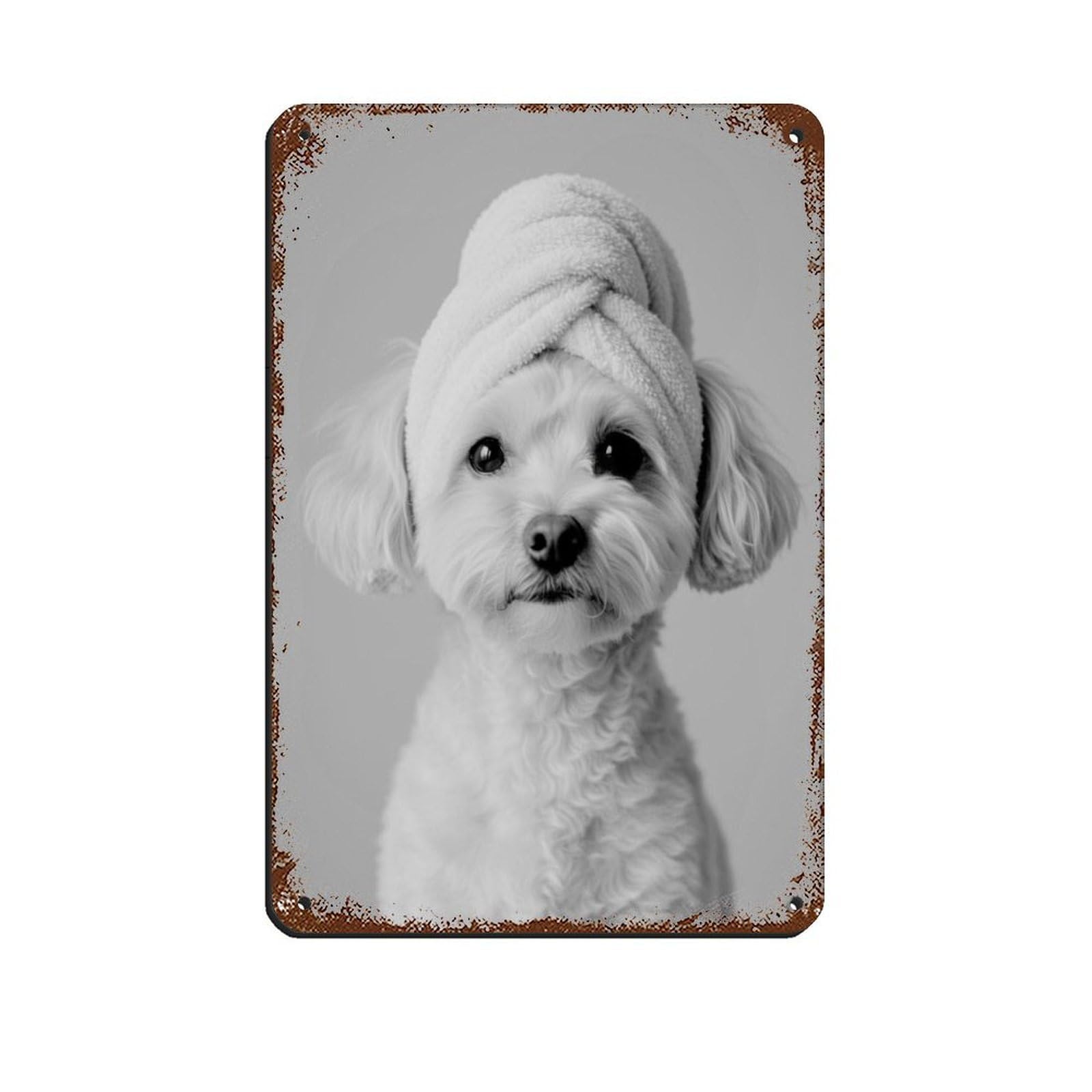 Bathroom Spa, Poodle Bichon Frise Dog Retro Poster Metal Tin Sign Chic Art Retro Iron Painting Bar People Cave Cafe Family Garage Poster Wall Decoration 8x12inch(20x30cm)