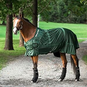Back on Track Therapeutic Horse Mesh Rug (Hunter Green, 81-Inch)