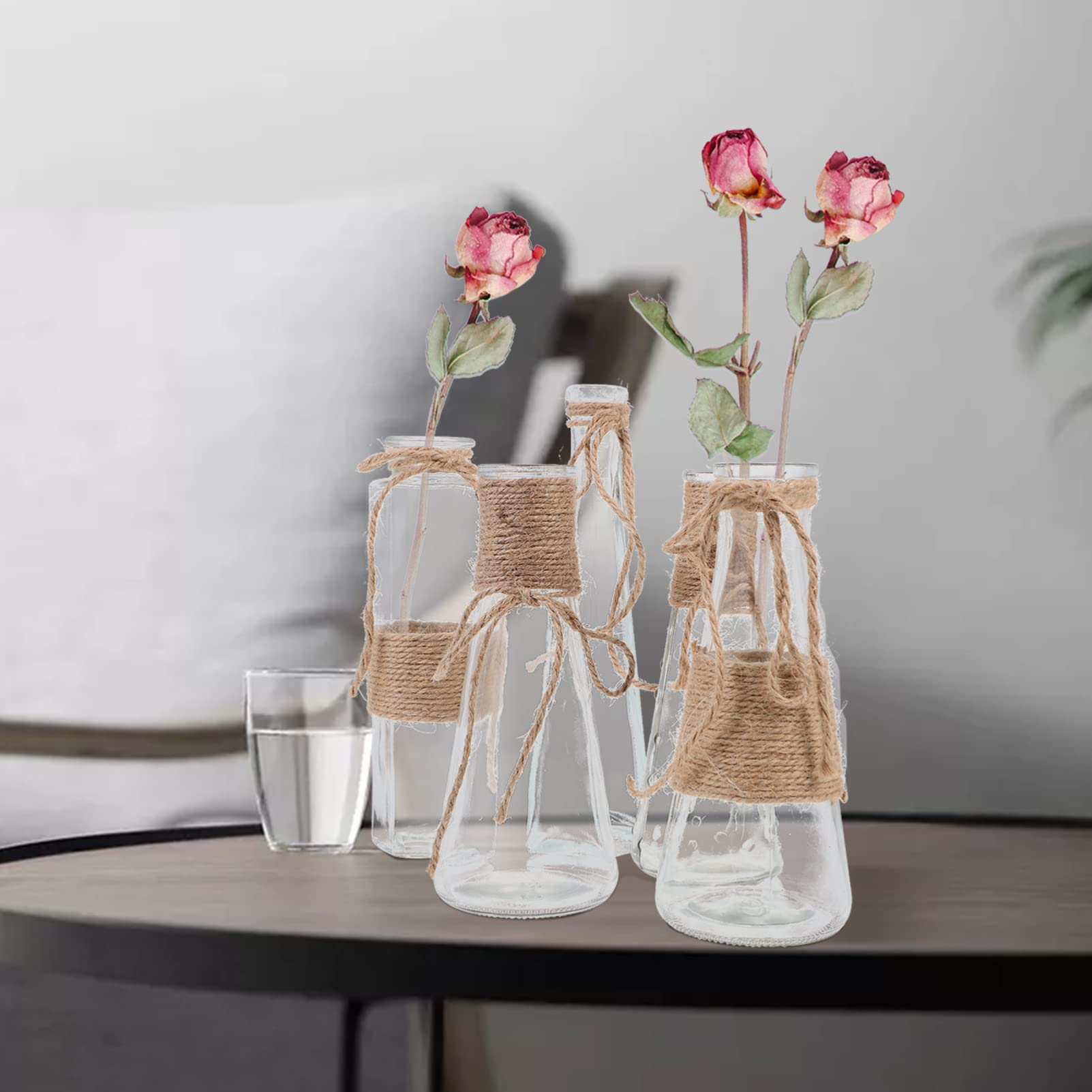 5 Stück Transparente Glasvasen mit Juteseil, Flacher Boden