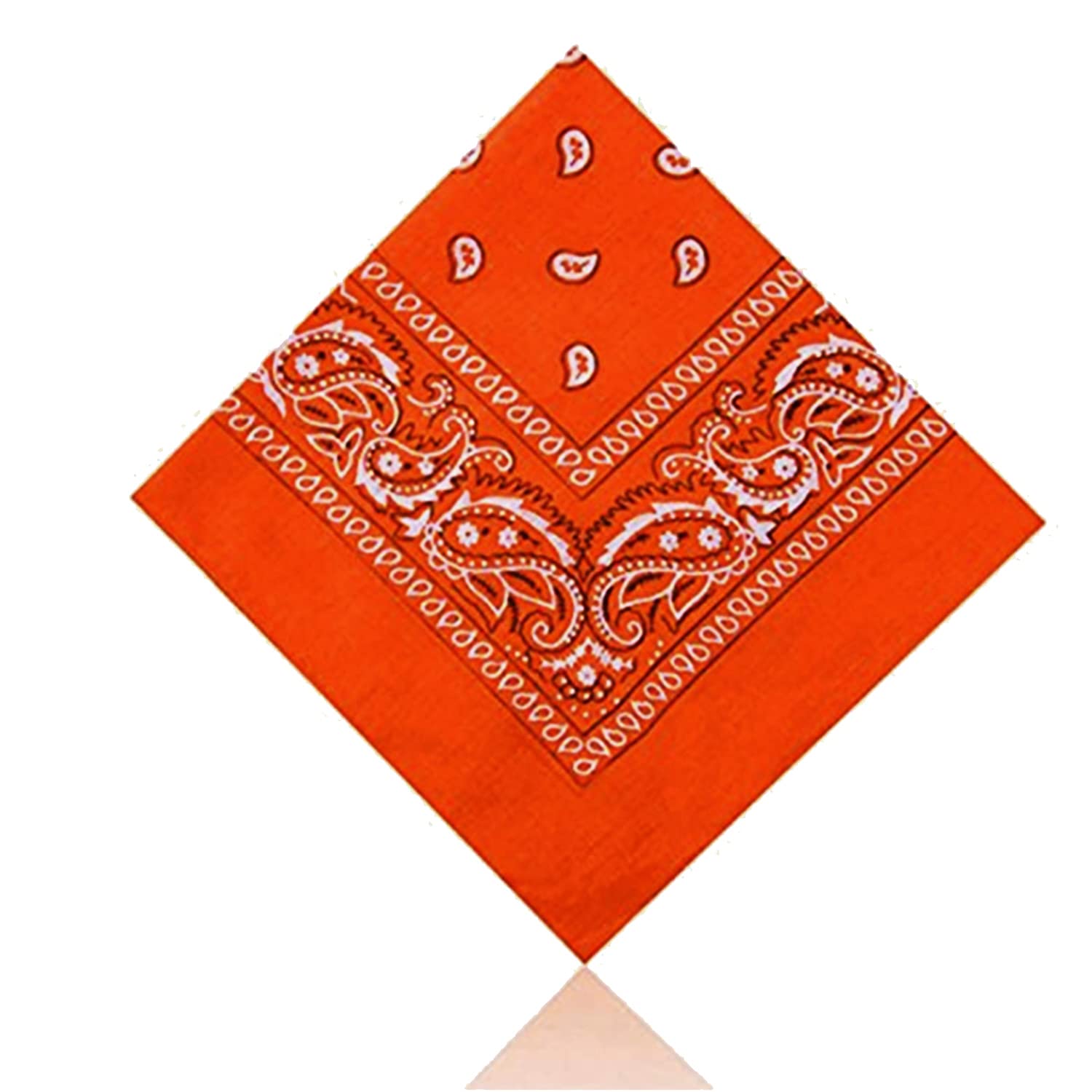 Burnt Orange Paisley Pattern Bandana / Headscarf/ Neckerchief