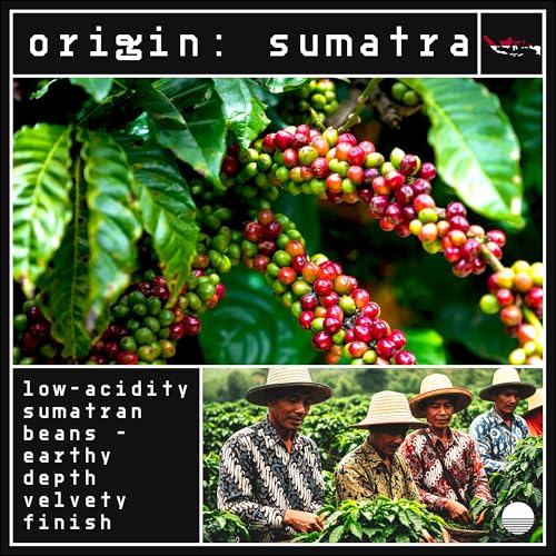Terra Nera Coffee - Café en Grano Indonesio Sumatra 12oz miniatura 3