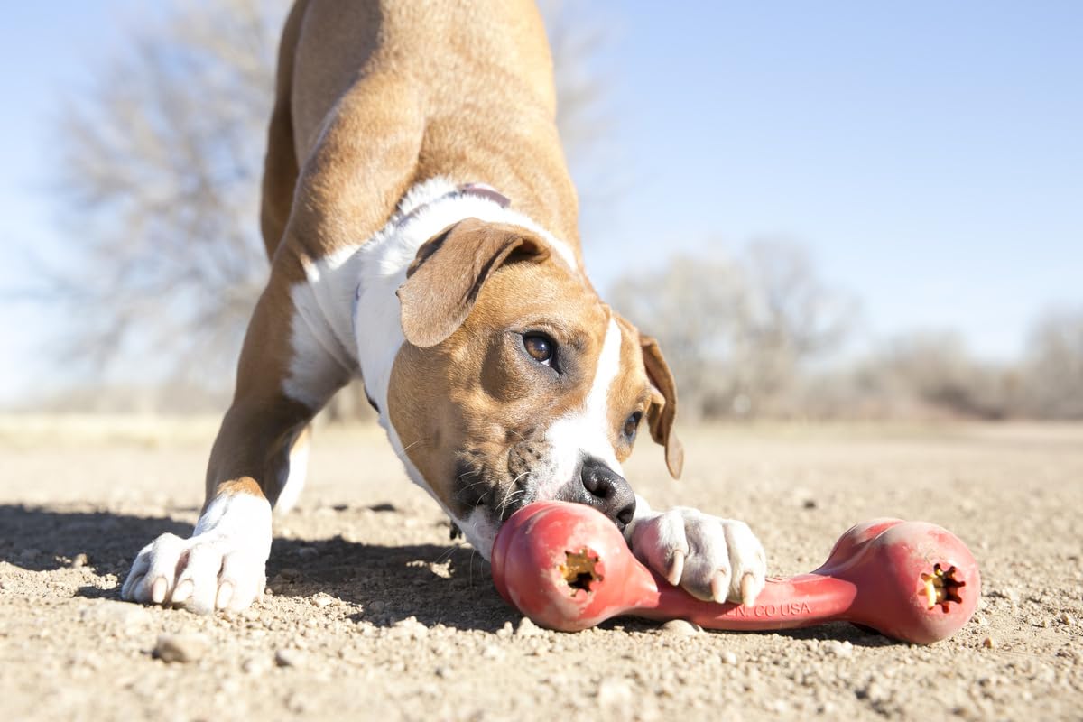 KONG Goodie Bone - Os distributeurs de friandises en caoutchouc naturel - Rouge - Pour grands chiens (lot de 2)