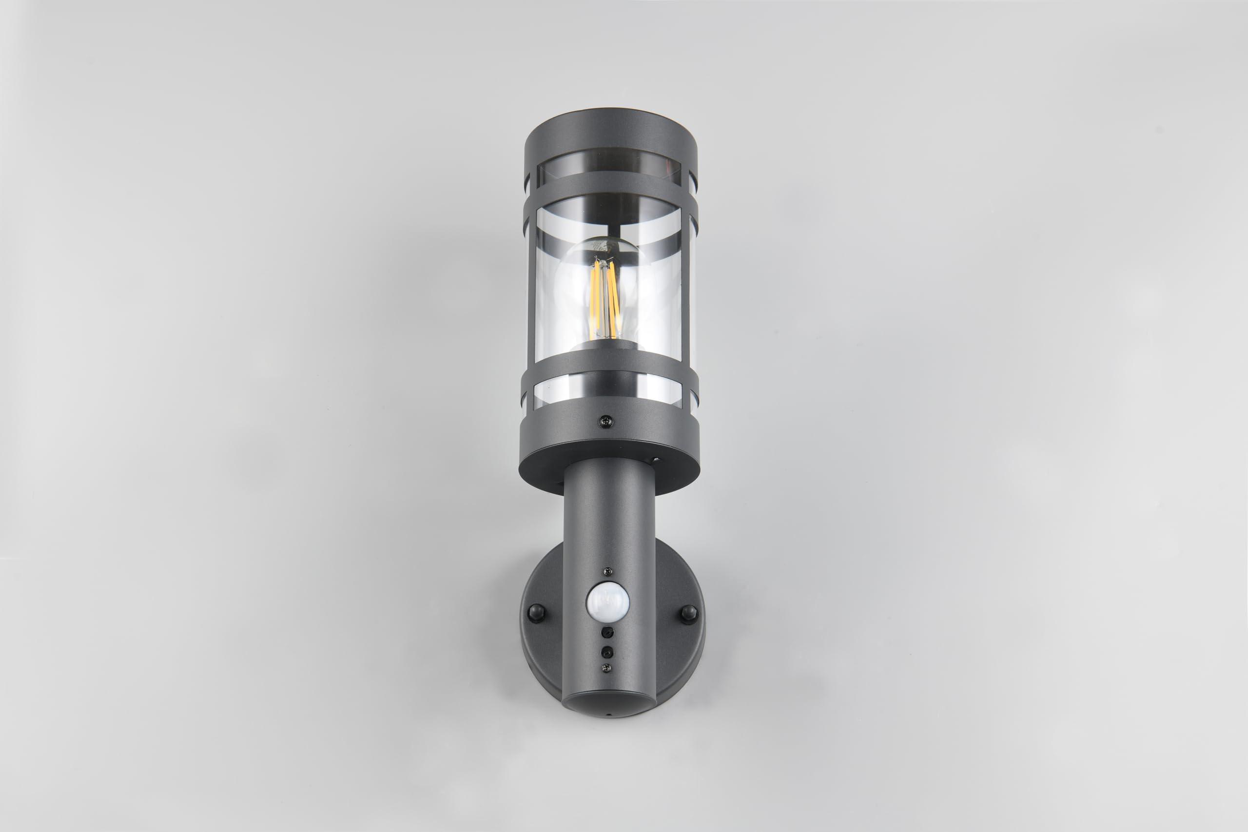 Reality Leuchten Paloma R21719142 - Lampada da parete per esterni, in metallo antracite, paralume in plastica trasparente, 1 x E27, sensore di movimento