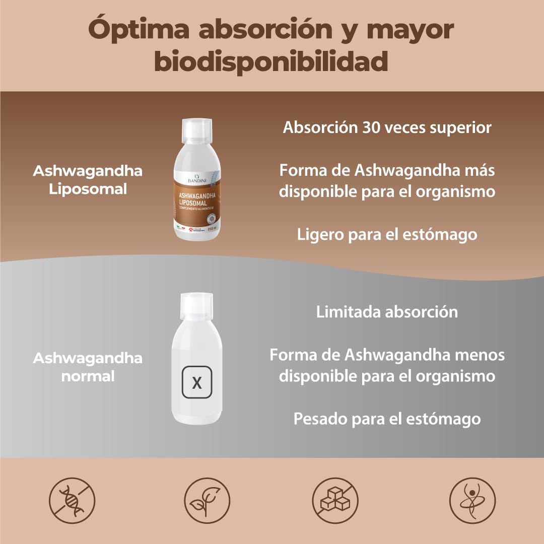 Bandini® Ashwagandha Liposomal 250 mg – Alta Biodisponibilidad y Absorción – Extracto líquido de Ginseng indio (Withania somnifera) raíces para Fatiga Física y Mental - Vegano - 250 ml, 25 porciones