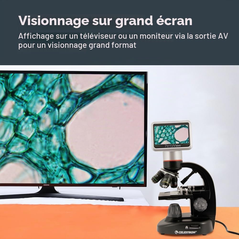 Celestron 44348 Microscope numérique PentaView à écran LCD, grossissement 40x-60x, noir/argenté