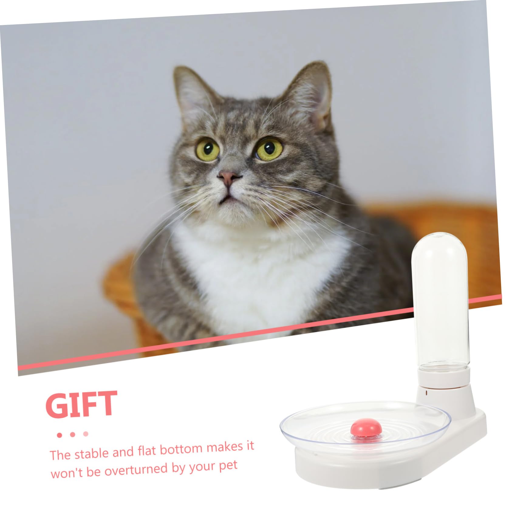 INOOMP Distributore Per Animali Domestici Per Pet Capacità e Design Facile Da e Utilizzare Per