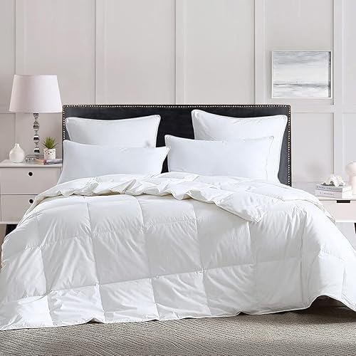 Dorrin Nessin Summer Lightweight Queen Size Feathers Down Fiber Comforter Blanket, 90x90 Inches