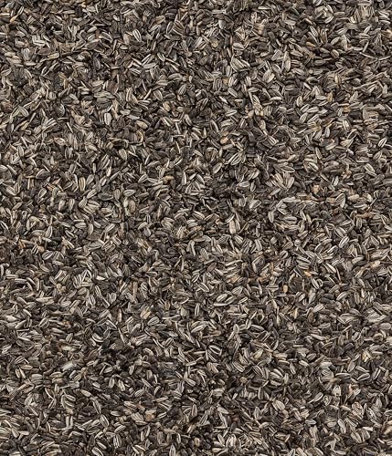 Dehner Natura Premium Wildvogelfutter, Sonnenblumenkerne, Ganzjahresfutter proteinreich / energiereich, hochwertiges Vogelfutter für Wildvögel, 2.2 kg
