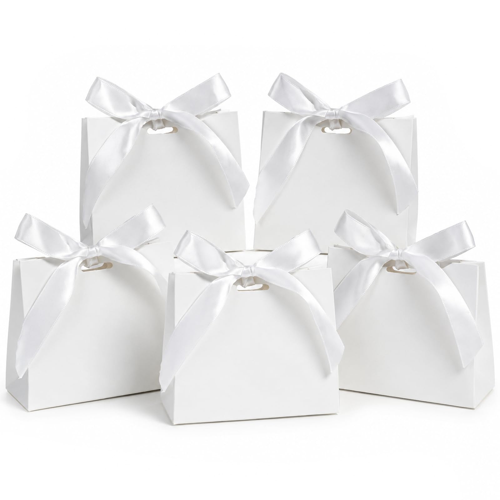 5 White Gift Bags with Handles & Ribbons for Party Favours