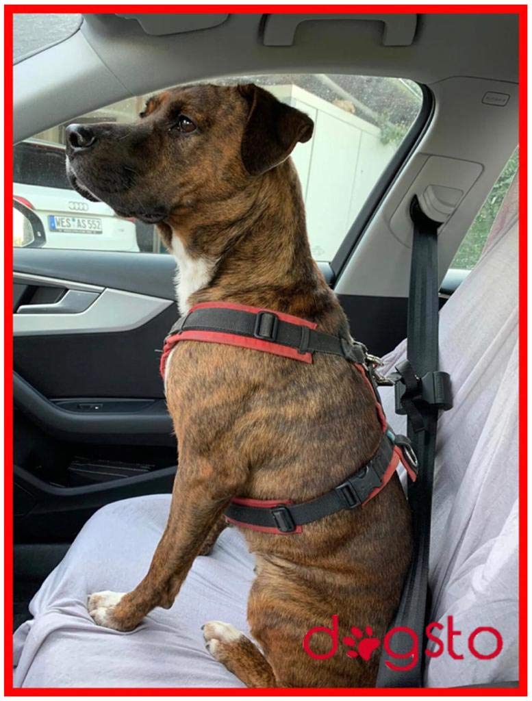 Hunde Sicherheitsgurt für jedes Auto mit mittiger Befestigung am Sicherheitsgurt - Ideale Sitzposition