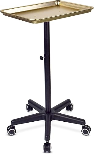 Miniatura 1 de Bandeja de aluminio para salón de belleza, bandeja para tatuajes, bandeja para instrumentos, bandeja rodante, bandeja plateada con ruedas para