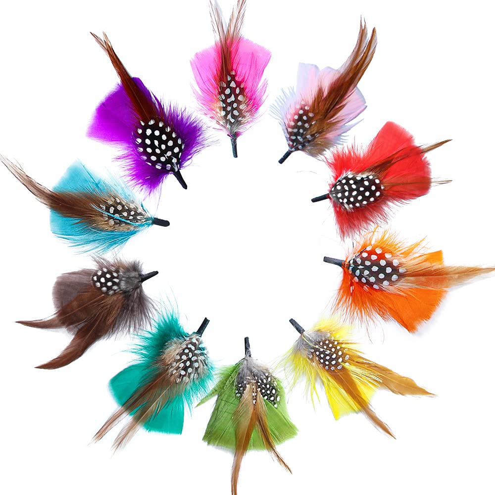 10Pcs Hat Feathers Assorted Natural Feather for Fedoras Hats Decoration DIY Earring Craft Art Feather Accessories