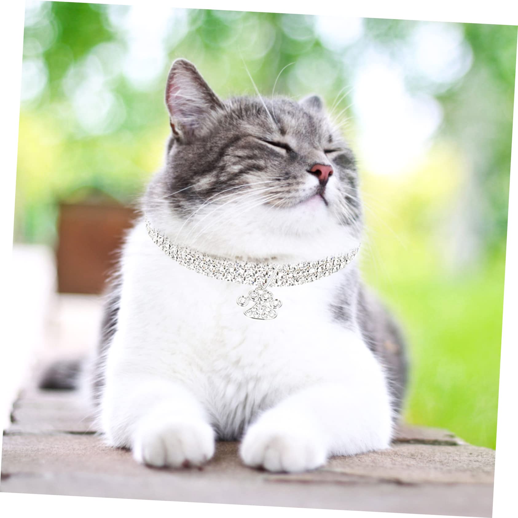 BESPORTBLE 9pezzi Collana Per Animali Domestici Con Strass Da Resistente All Usura e Portatile Per Cani e Gatti Design Creativo Per Look Elegante e Distintivo