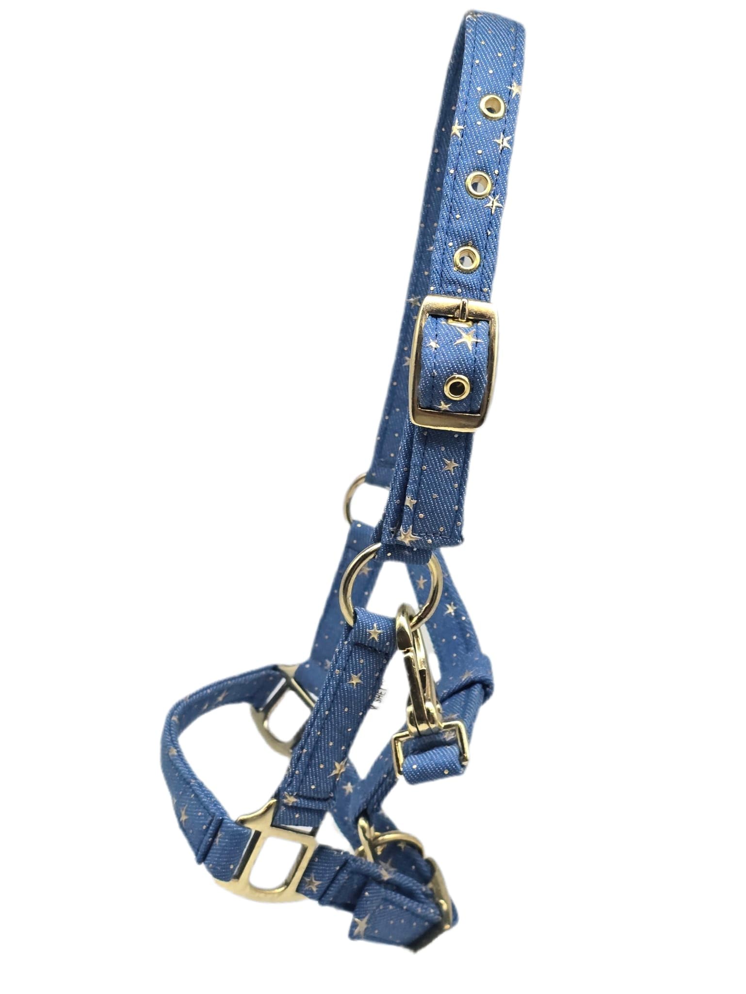 Halfter Starry Sky Hellblau Schwarz Sterne Gold Farben Minishetty Shetty Sternenhalfter Tysons Falabella Minipony (Shetty, Hellblau)