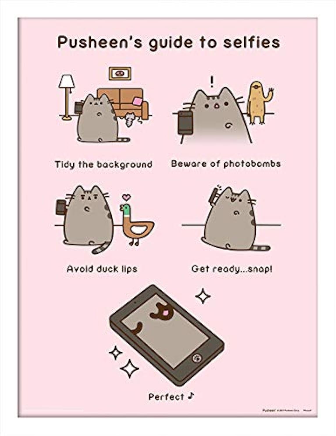 Pusheen The Cat Multi-Colour Pusheen (Guide To Selfies 30 X 40Cm Memorabilia
