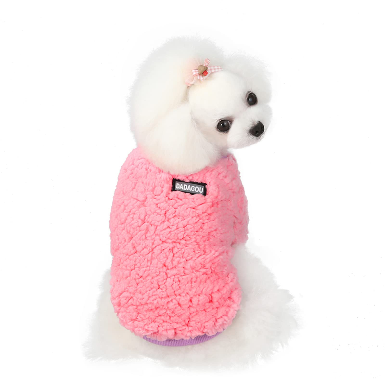 Vêtements pour chiens contre le froid pour petit chien frileux