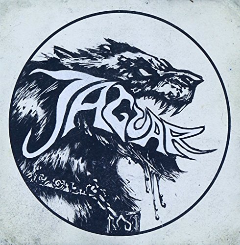 Opening the Enclosure