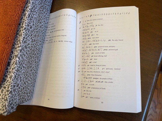 Good basic dictionary