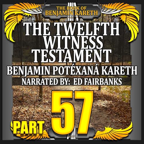 Page de couverture de The Twelfth Witness Testament