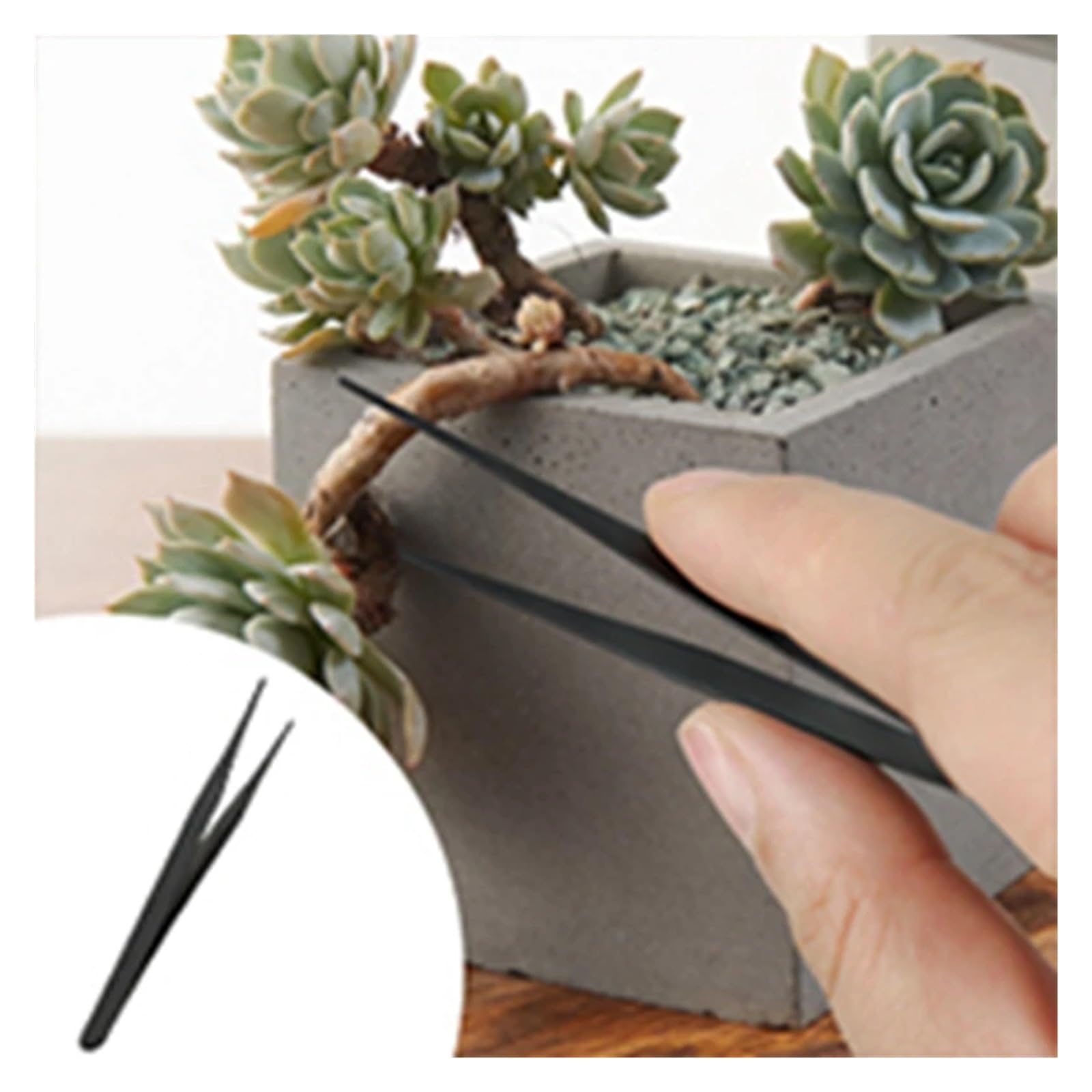 Kit d'outils de remplacement for bonsaï, 24 pièces, entretien de la forme des bonsaïs, jardinage, bonsaï, débutant, taille, kit d'entretien, sécateur