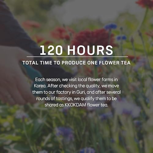 Miniatura 4 de KKOKDAM Té coreano, 2 mini tarros de té de flores de hojas sueltas y 2 palitos de té, flores de té florecientes, regalos de té únicos, juegos de té