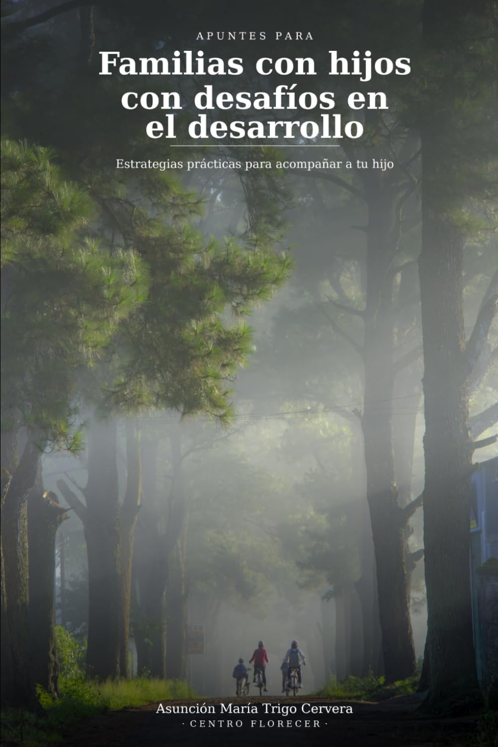Apuntes para familias con hijos con desafíos en el desarrollo: Estrategias prácticas acompañar a tu hijo