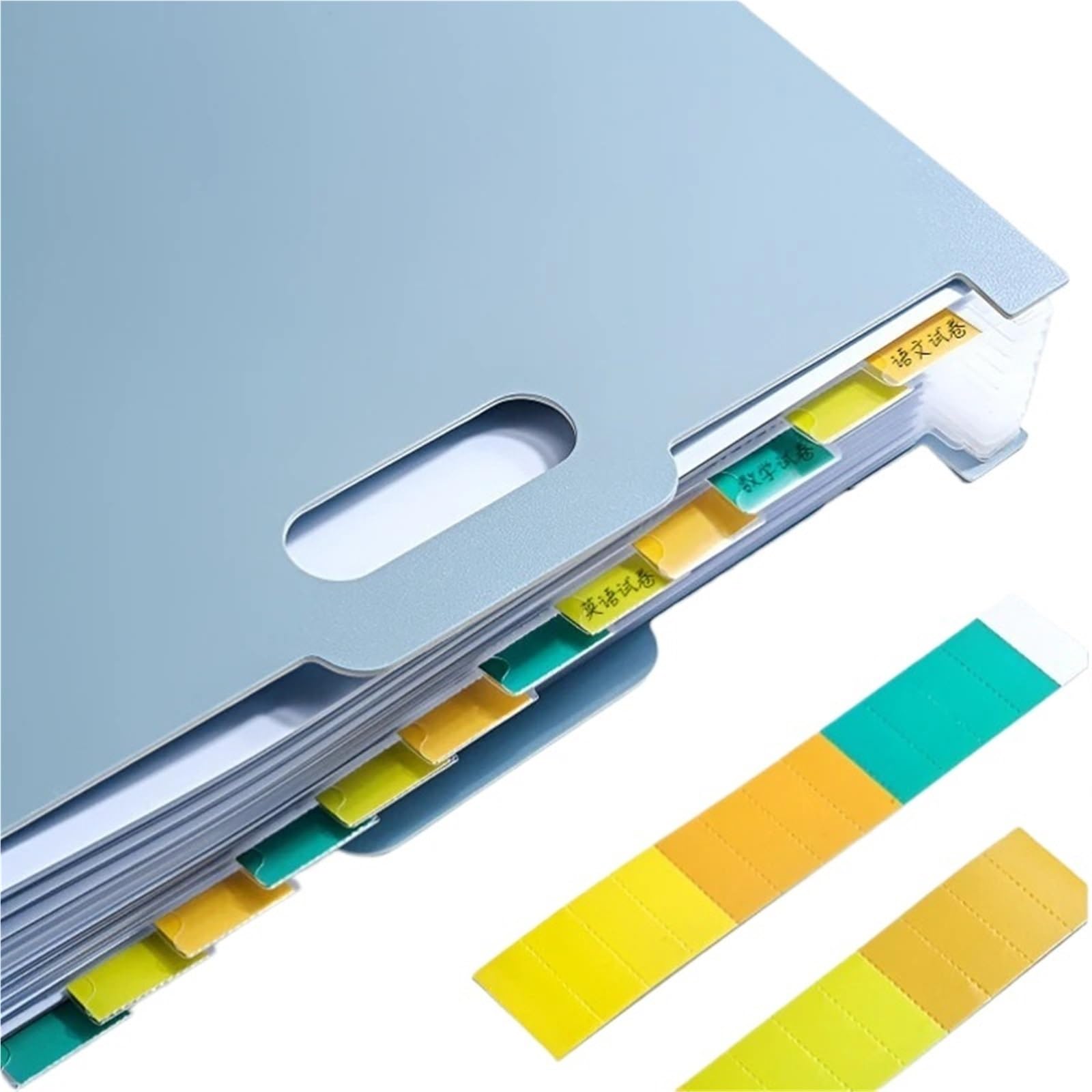 Carpeta Acordeon Organizador de archivos acordeón 2 piezas y 13 bolsillos