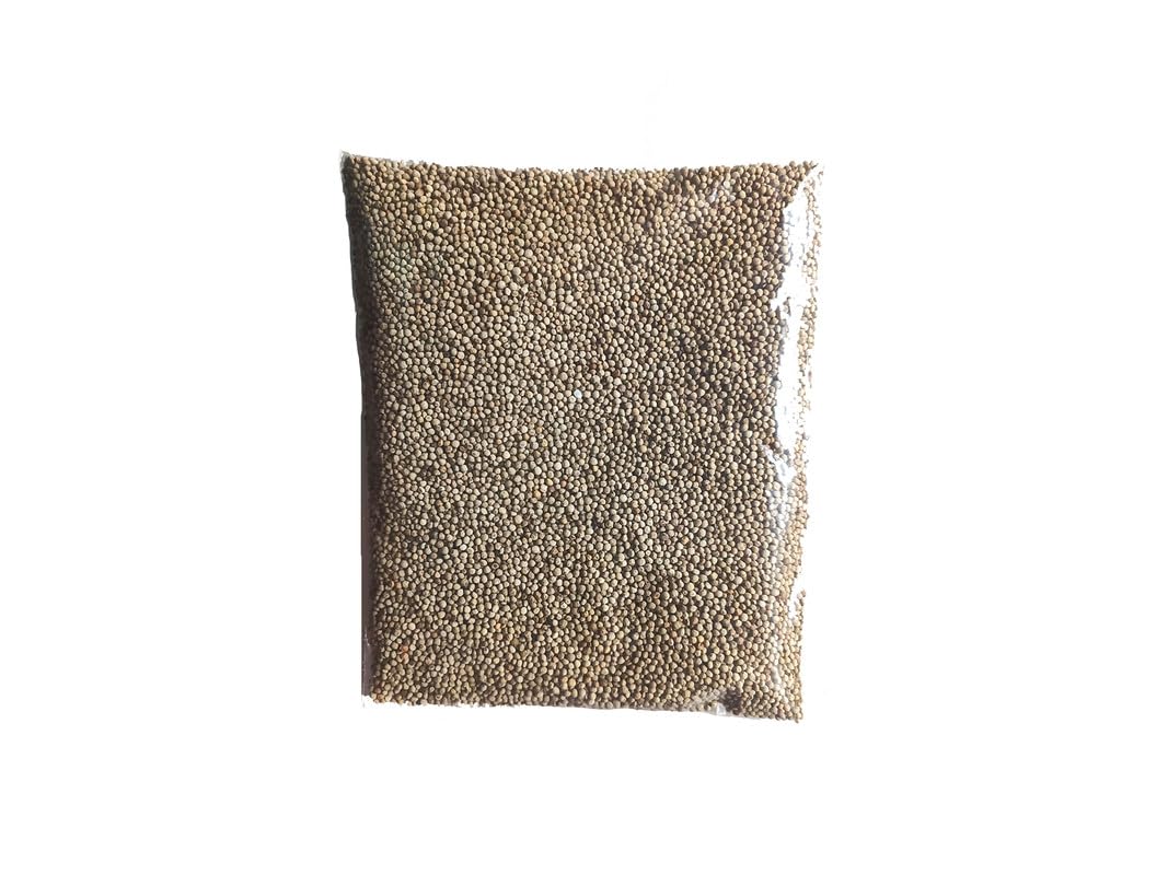 Gorkha Food Products Nepali Silam/Perilla Seeds | Nepali Silam | 100 gm (B0CKPX83MR) Amazon Price History, Amazon Price Tracker