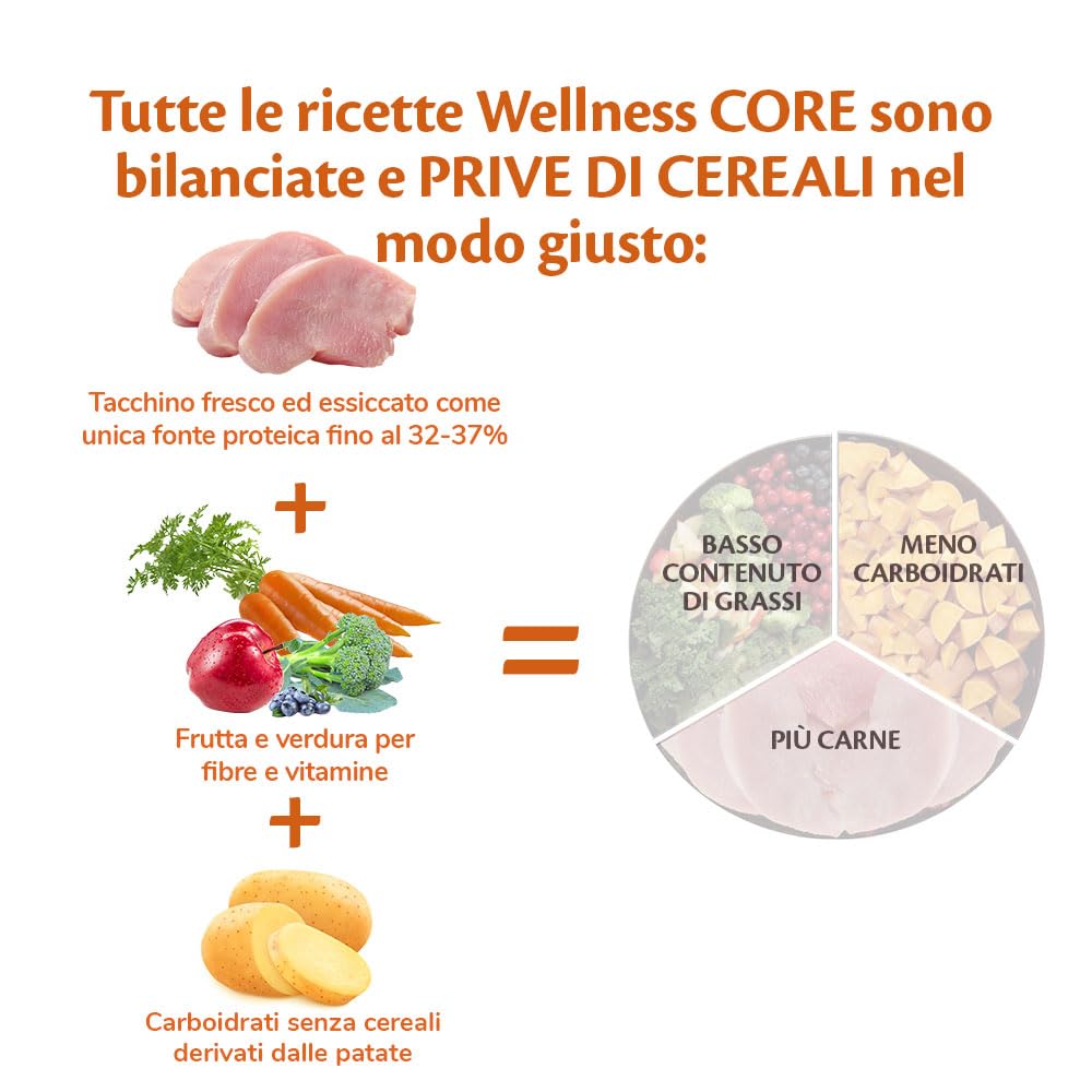 Wellness CORE Low Fat 10 kg, Tacchino – Crocchette Per Cani | Cibo Secco Per Cani Medi & Grandi, Senza cereali, Naturale, Ipoallergenico, Ricco di Proteine e Carne, Per un Peso Ideale