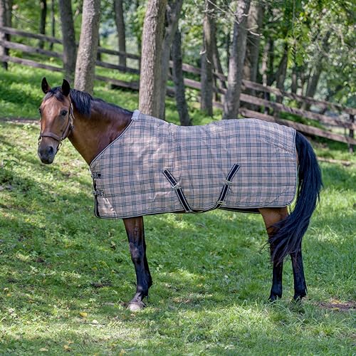 Image of TuffRider Comfy Standard Neck Medium Weight Stable Blanket- 1200D, 200 GSM