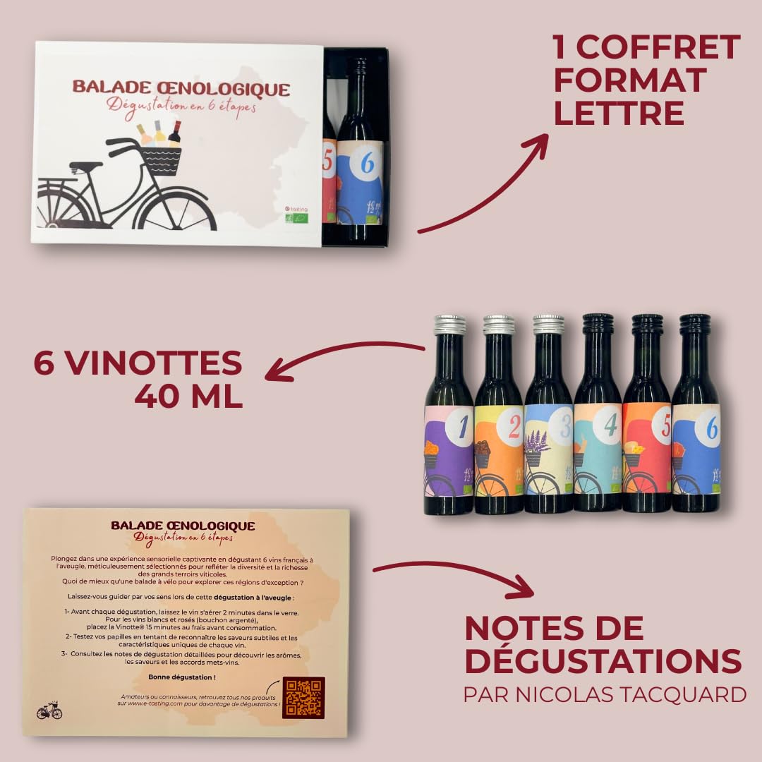 Coffret Dégustation 6 Vins Français Bio – Idée Cadeau – Bourgogne, Bordeaux, Alsace, Loire, Rhône, Languedoc – Rouges, Blancs et Rosé – 6 x 40 ml – E-Tasting