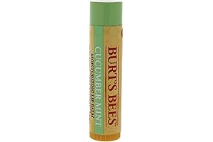 Burt's Bees Cucumber Mint Moisturizing Lip Balm for Dry Lips