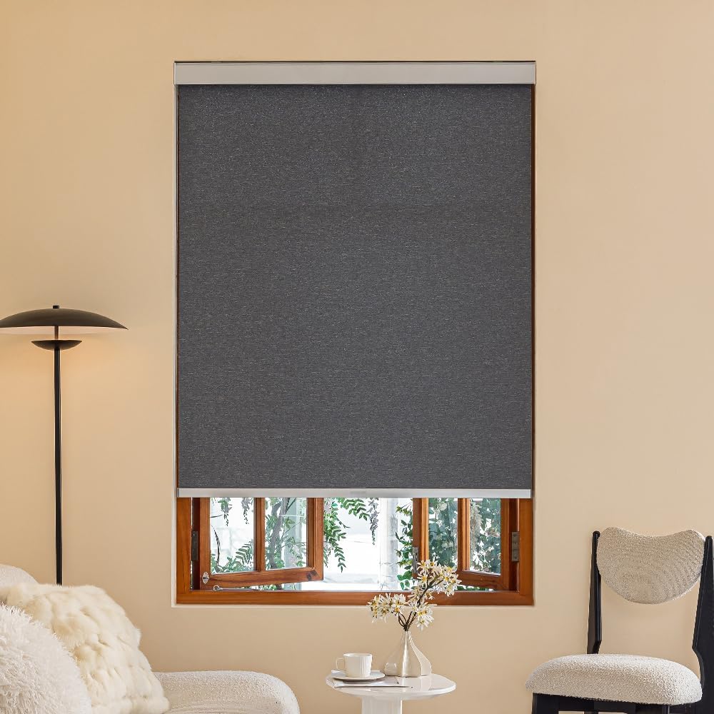 Free Stop Cordless Roller Shades Semi-Opaque Blinds for Windows Room Darkening Rolled Up and Down Shades, UV Protection Window Shades Door Blinds for Home and Office (27“ W x 72" H, Dark Gray)