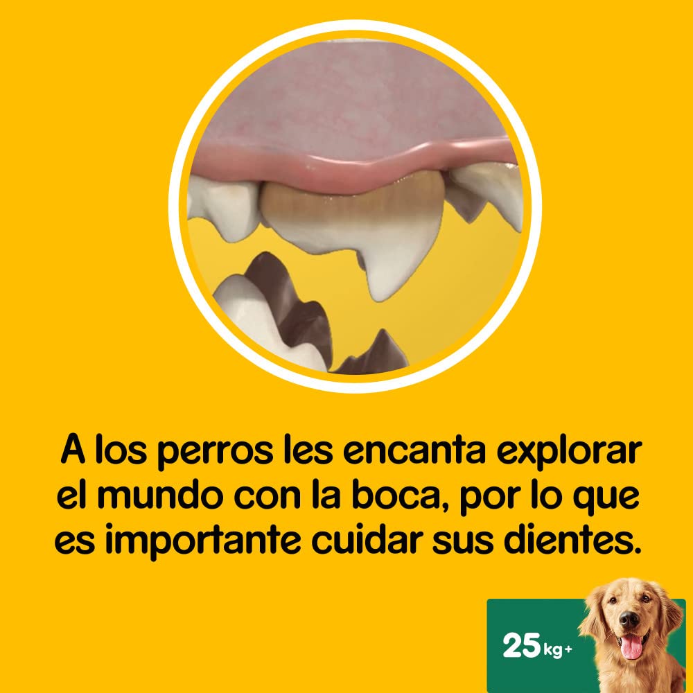 Pedigree Dentastix - Friandises pour grand chien, 112 bâtonnets à mâcher pour l'hygiène bucco-dentaire (16 sachets de 7 Sticks)