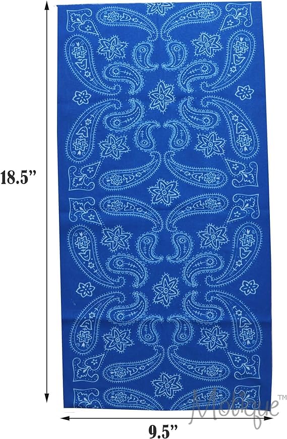 Image of Motique Accessories Paisley Bandana Neck Gaiter Tube Headwear Motorcycle Face Scarf
