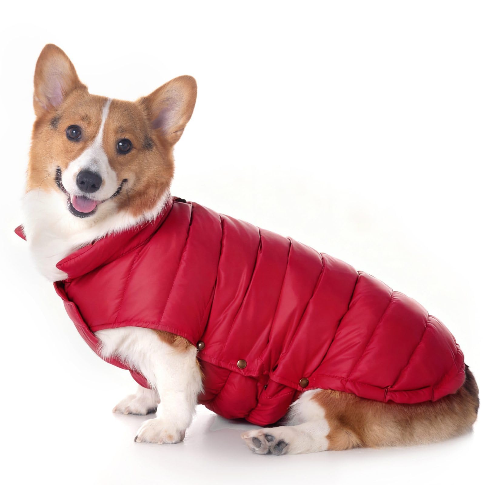 SPACE LION Dog Puffer Jacket